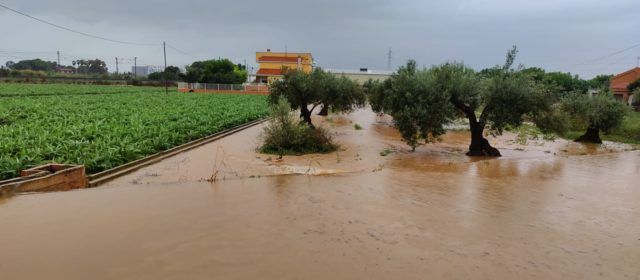 El Camí de Sant Gregori, a Benicarló, inundat per la pluja