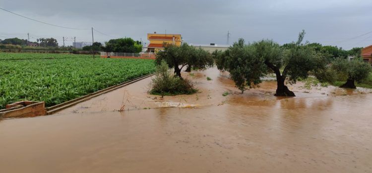 El Camí de Sant Gregori, a Benicarló, inundat per la pluja