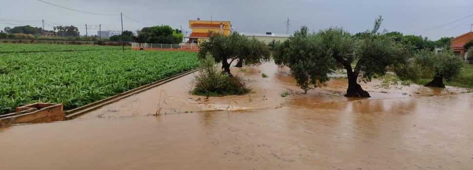 El Camí de Sant Gregori, a Benicarló, inundat per la pluja