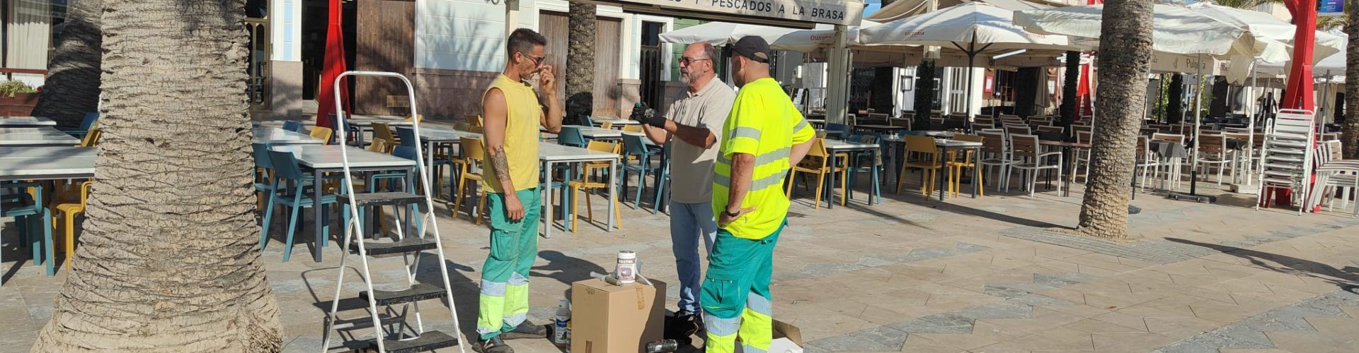 Obres i Serveis aplica un nou tractament per a combatre el morrut roig