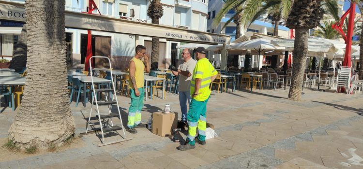 Obres i Serveis aplica un nou tractament per a combatre el morrut roig