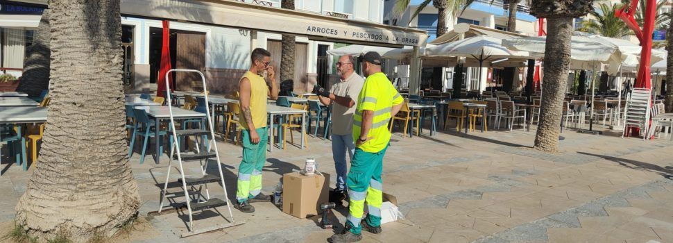 Obres i Serveis aplica un nou tractament per a combatre el morrut roig
