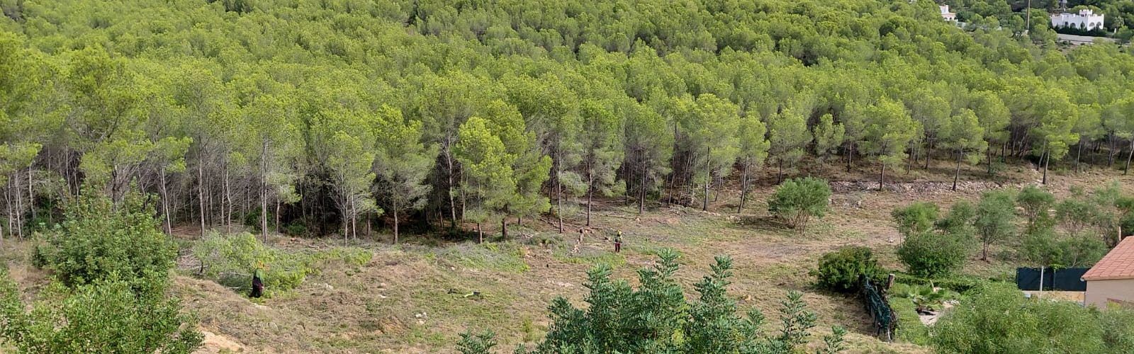 Alcalà-Alcossebre executa el Pla Local de Prevenció d’Incendis Forestals a través de les ajudes de la Generalitat Valenciana