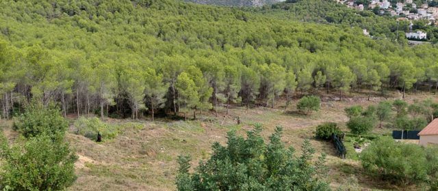Alcalà-Alcossebre executa el Pla Local de Prevenció d’Incendis Forestals a través de les ajudes de la Generalitat Valenciana