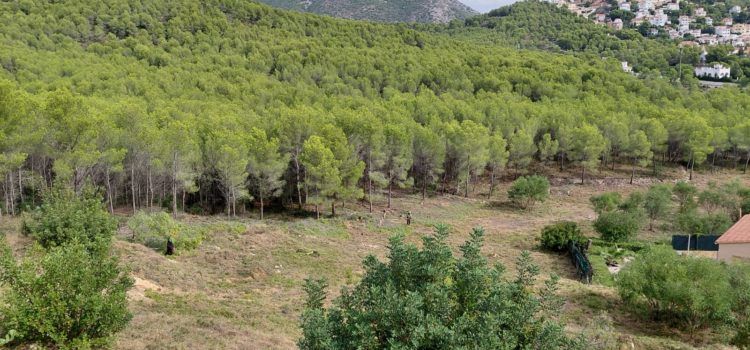 Alcalà-Alcossebre executa el Pla Local de Prevenció d’Incendis Forestals a través de les ajudes de la Generalitat Valenciana