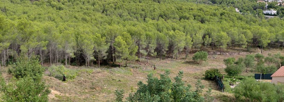 Alcalà-Alcossebre executa el Pla Local de Prevenció d’Incendis Forestals a través de les ajudes de la Generalitat Valenciana