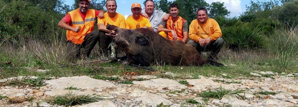 La Generalitat concedix a Santa Magdalena 9.600 € per al control de la sobreabundància de senglar