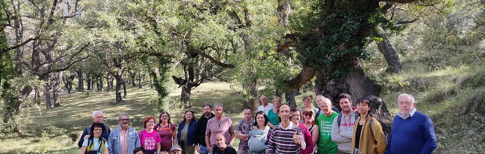 Benassal tanca el Mes de l’Avellana amb un participatiu Mercat Gastronòmic 