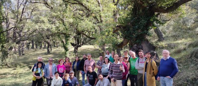 Benassal tanca el Mes de l’Avellana amb un participatiu Mercat Gastronòmic 