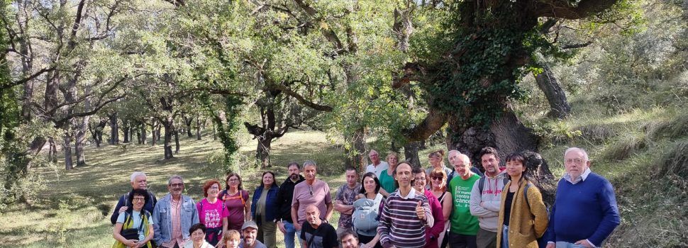 Benassal tanca el Mes de l’Avellana amb un participatiu Mercat Gastronòmic 