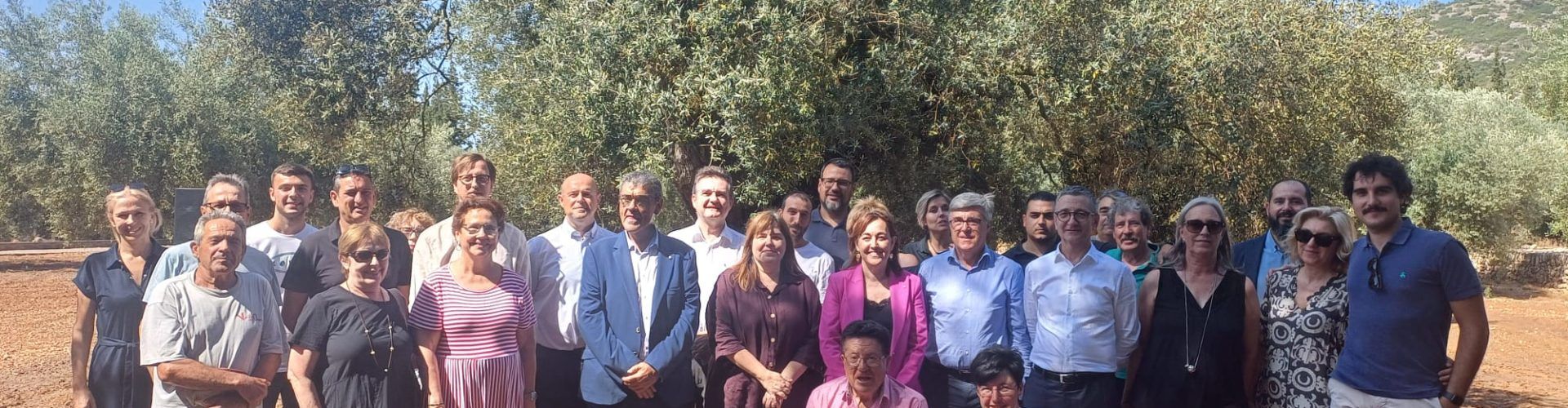 Congres Oliveres Mil·lenaries Territori Senia