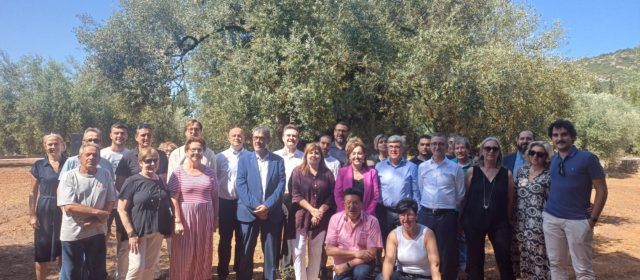 Congres Oliveres Mil·lenaries Territori Senia