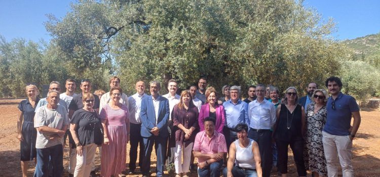 Congres Oliveres Mil·lenaries Territori Senia