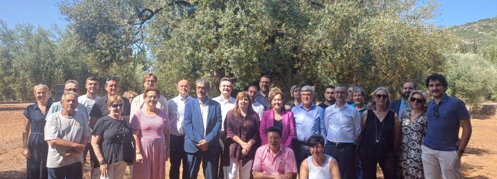 Congres Oliveres Mil·lenaries Territori Senia