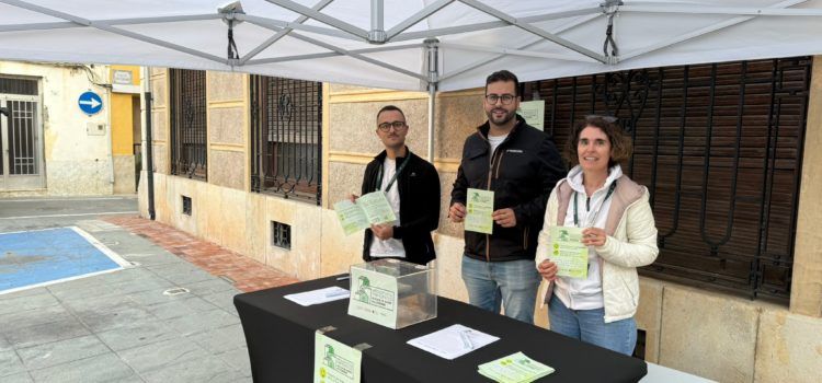 La compra de ventiladors per als centres educatius és la proposta més votada en els Pressupostos Participatius d’Alcalà-Alcossebre