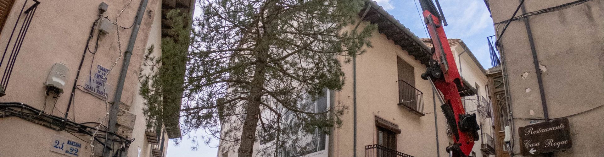 Morella planta l’arbre de Nadal a Cinc Cantons i es prepara per a l’encesa de les llums el 5 de desembre