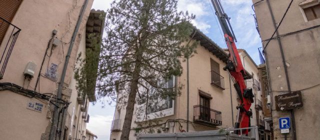 Morella planta l’arbre de Nadal a Cinc Cantons i es prepara per a l’encesa de les llums el 5 de desembre
