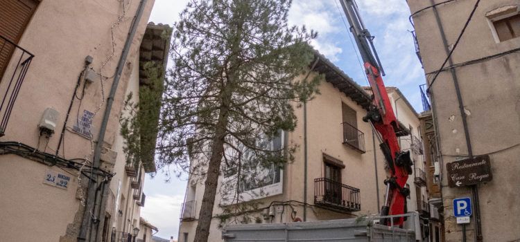 Morella planta l’arbre de Nadal a Cinc Cantons i es prepara per a l’encesa de les llums el 5 de desembre