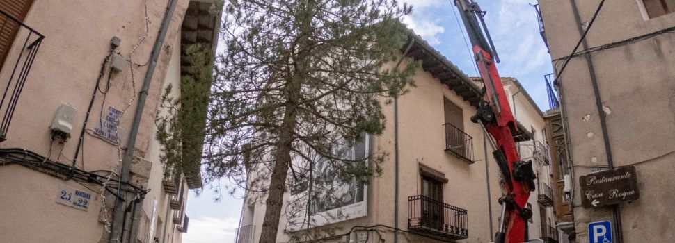 Morella planta l’arbre de Nadal a Cinc Cantons i es prepara per a l’encesa de les llums el 5 de desembre