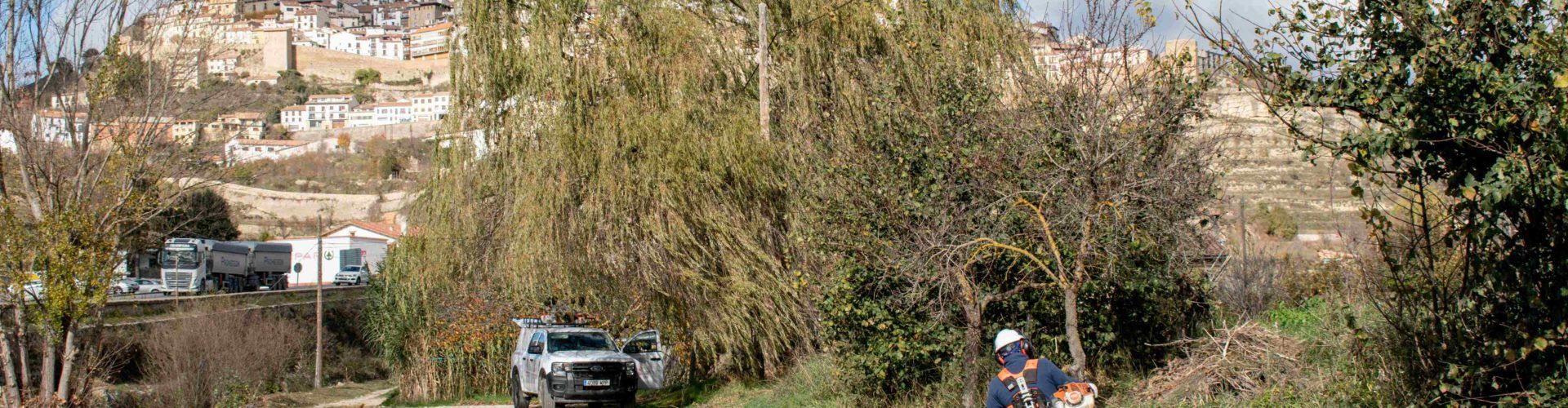 Treballs de desbrossa forestal al llit del barranc de l’Hostal Nou a Morella
