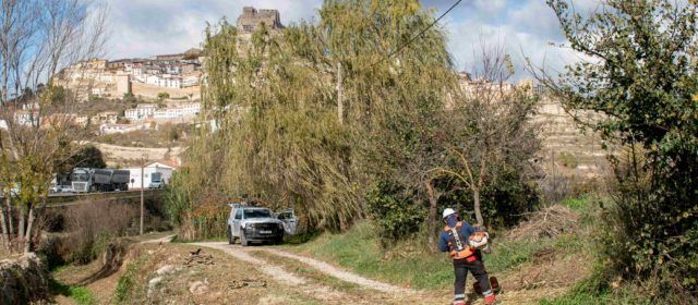 Treballs de desbrossa forestal al llit del barranc de l’Hostal Nou a Morella