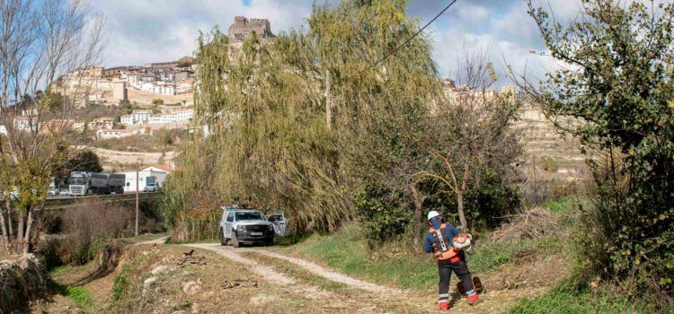 Treballs de desbrossa forestal al llit del barranc de l’Hostal Nou a Morella