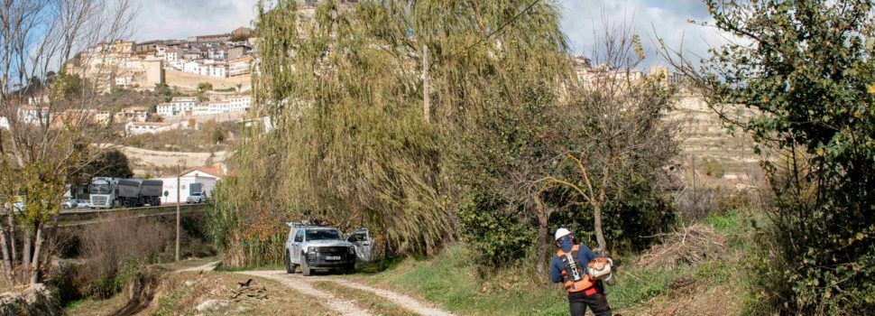 Treballs de desbrossa forestal al llit del barranc de l’Hostal Nou a Morella