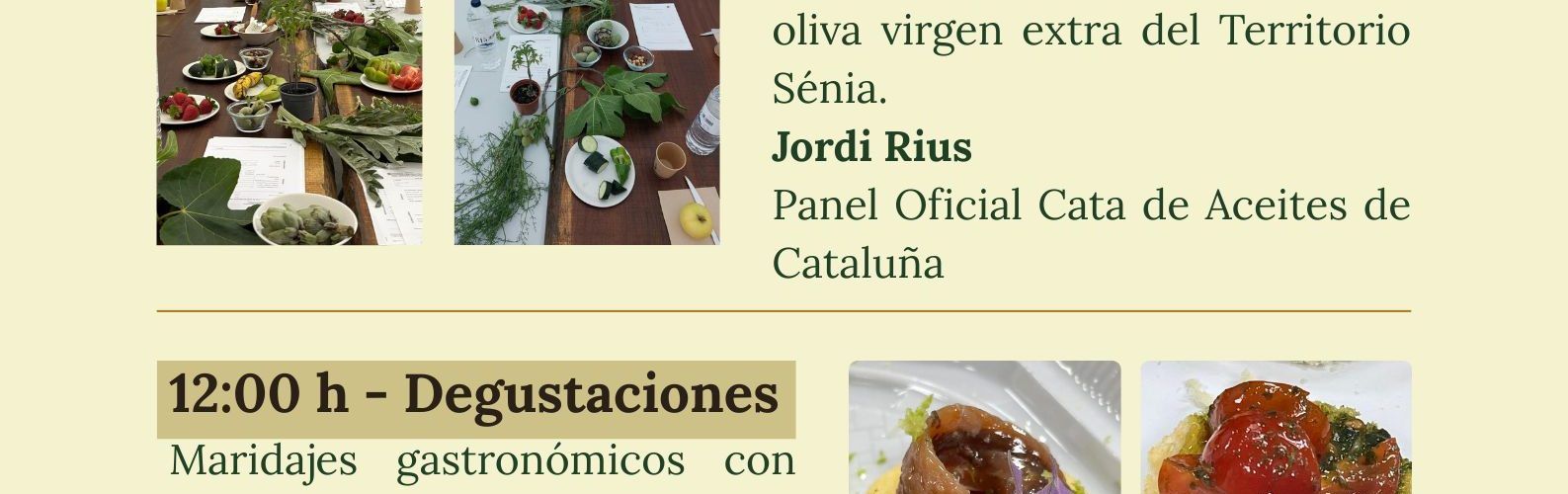 Ruta Oliveres Mil·lenàries Territori Senia a La Ràpita)