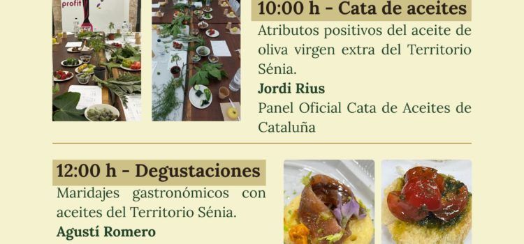 Ruta Oliveres Mil·lenàries Territori Senia a La Ràpita)