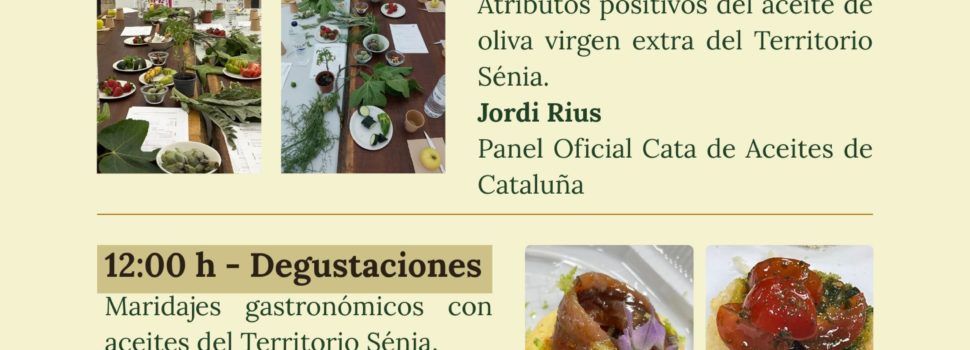 Ruta Oliveres Mil·lenàries Territori Senia a La Ràpita)