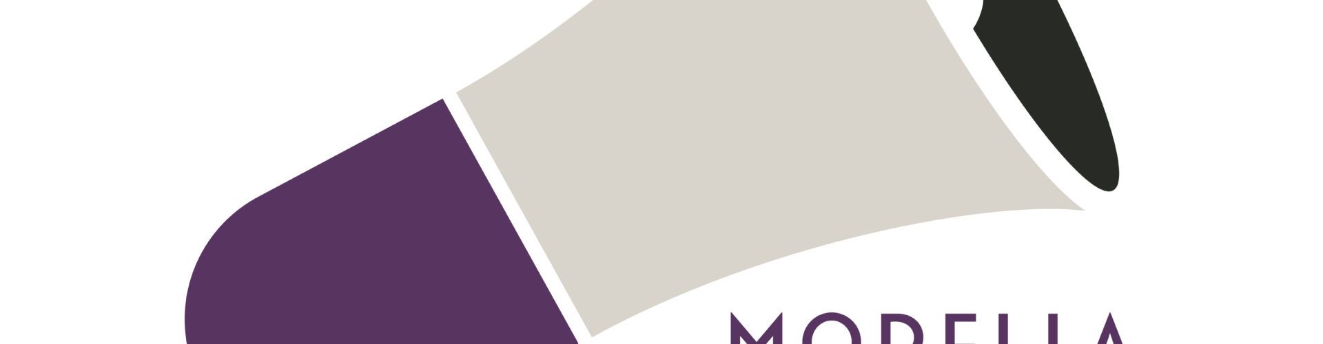 Morella Informa renova la seua imatge per a unificar el servei a WhatsApp i Telegram