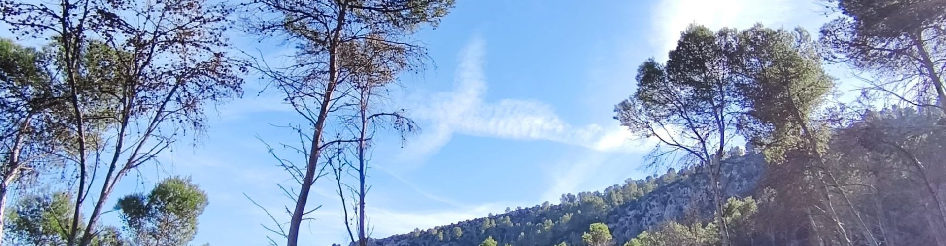 El “parte” del temps: demà començaria a baixar la temperatura