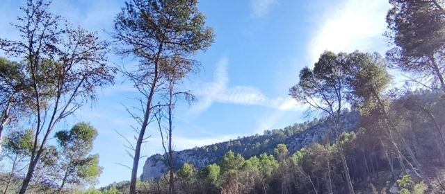 El “parte” del temps: demà començaria a baixar la temperatura
