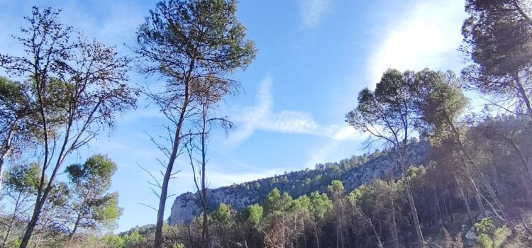 El “parte” del temps: demà començaria a baixar la temperatura