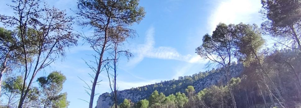 El “parte” del temps: demà començaria a baixar la temperatura