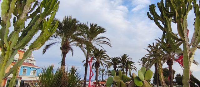 El “parte” del temps: lo Mestral ja es notarà aquesta tarde i bufarà sobre els 50 km/h