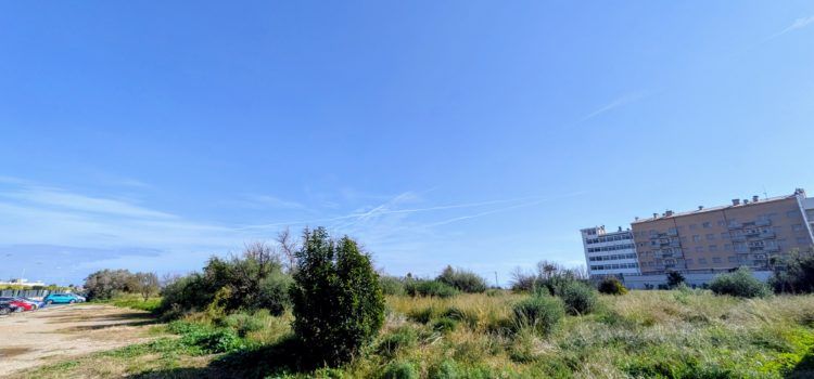 Benicarló impulsa la reparcel·lació del PAI Povet després de 25 anys d’estancament