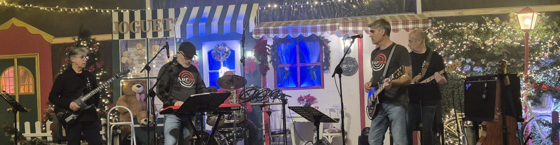 Concert del grup Aurins en els tardeos de Nadal