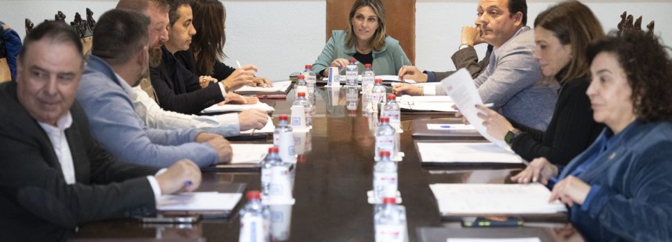 La Diputació de Castelló reforça el control poblacional de colònies felines en 67 municipis de la província