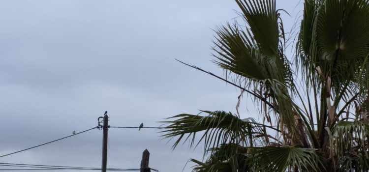 El “parte” del temps: avui i demà ha de ploure i fins dimecres sembla que seran dies passats per aigua
