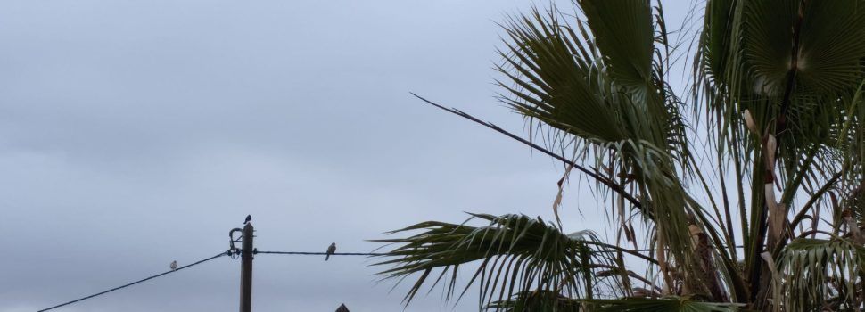 El “parte” del temps: avui i demà ha de ploure i fins dimecres sembla que seran dies passats per aigua