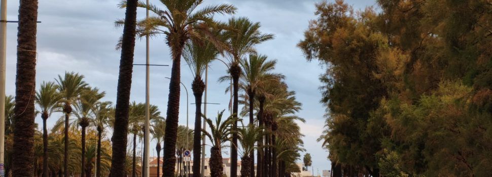 El “parte” del temps: donen aigua més o manco tota la setmana