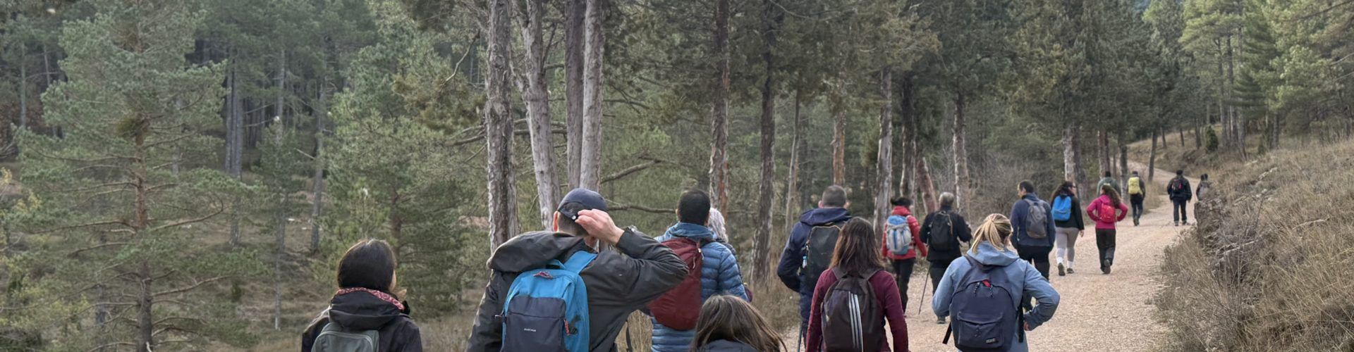 La Diputació mobilitza a 1.185 persones en el seu programa de senderisme que descobrix la província