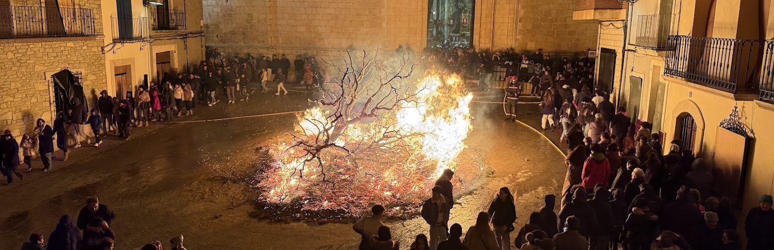 El foc il·lumina la festa de Sant Antoni en Albocàsser