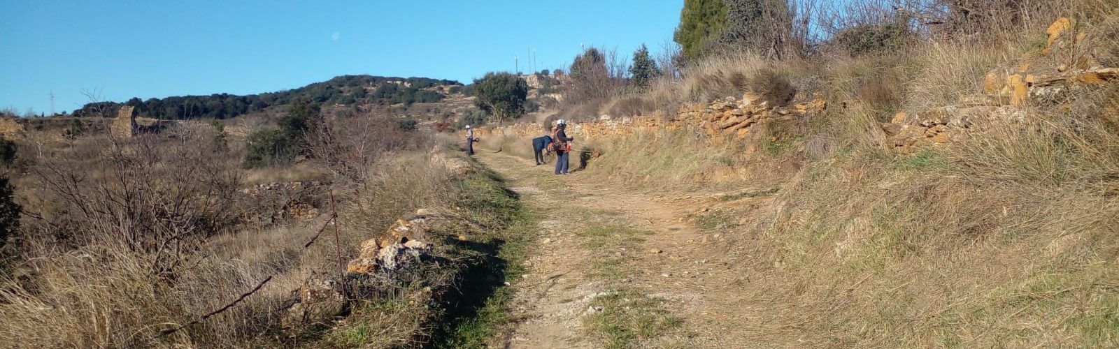 Benassal reforça el desbrossament i el manteniment de camins i barrancs amb el suport d’EMERGE i TRAGSA