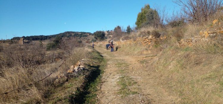 Benassal reforça el desbrossament i el manteniment de camins i barrancs amb el suport d’EMERGE i TRAGSA
