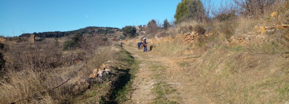 Benassal reforça el desbrossament i el manteniment de camins i barrancs amb el suport d’EMERGE i TRAGSA