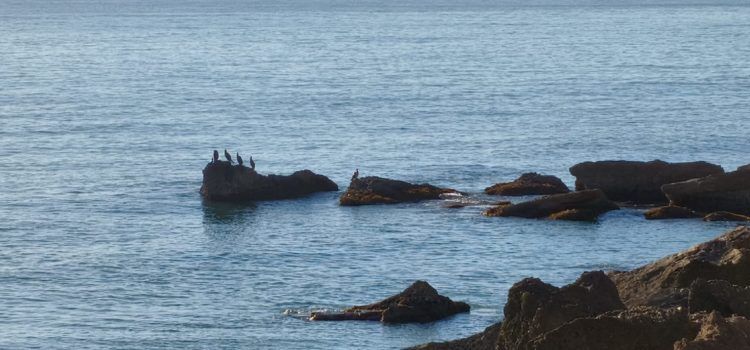 El “parte” del temps: caloreta fins dimecres, que ve la “setmana dels barbuts”