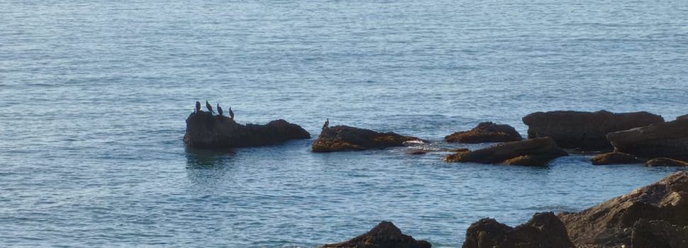 El “parte” del temps: caloreta fins dimecres, que ve la “setmana dels barbuts”