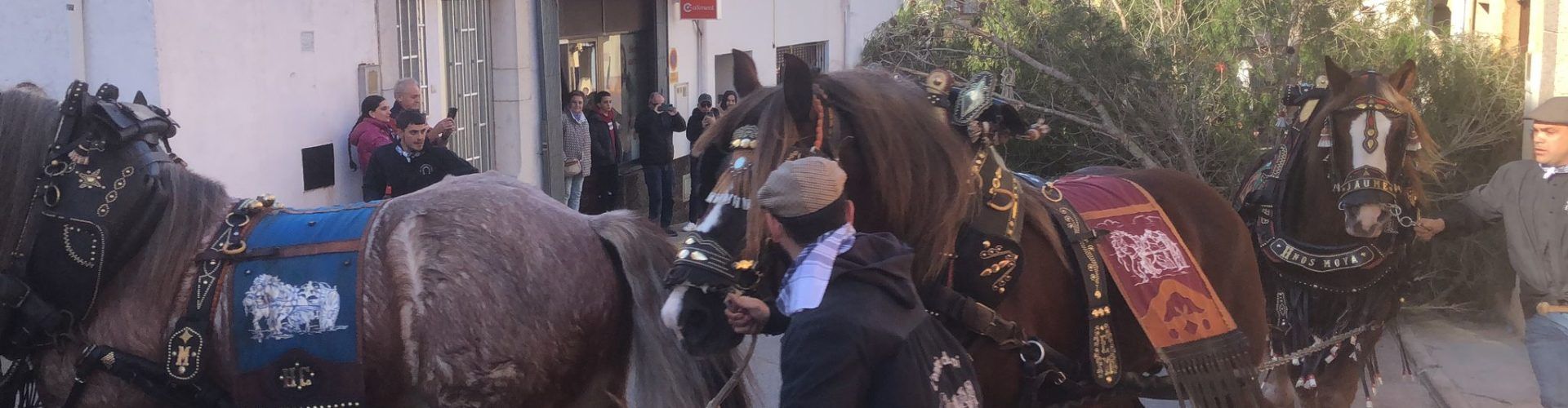 Tot llest per a la celebració de Sant Antoni a Santa Magdalena